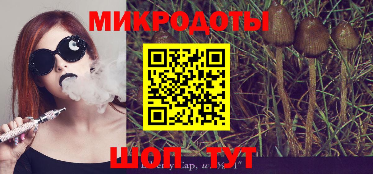 Галлюциногенные грибы мицелий Карачаевск